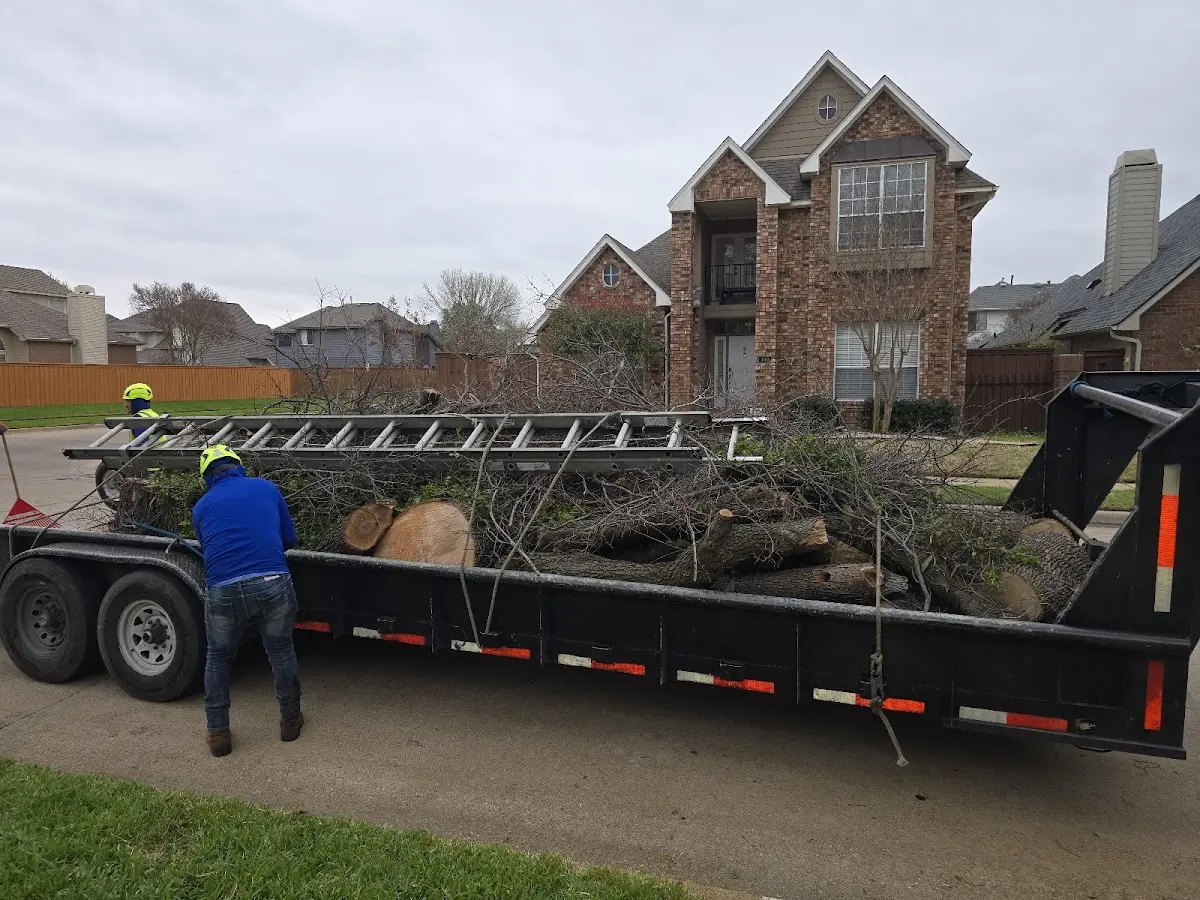 Expert Tree Fertilization with proper safety equipment in Granville Summit